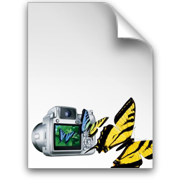 Adobe Photoshop Elements 5